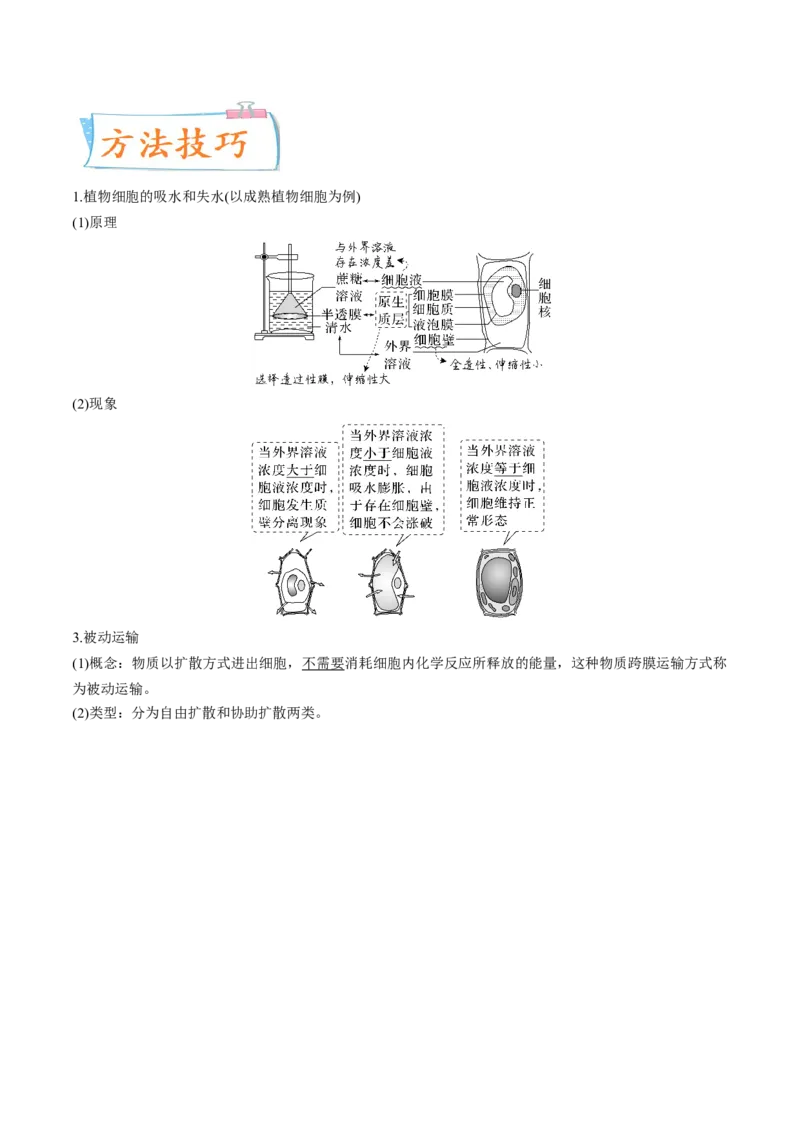 考向03细胞内物质输入和输出-备战2023年高考生物一轮复习考点微专题（全国通用）（解析版）(1)_通用版（老高考）复习资料_2023年复习资料_一轮复习