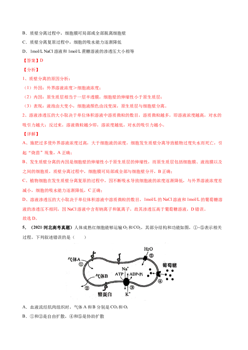考向03细胞内物质输入和输出-备战2023年高考生物一轮复习考点微专题（全国通用）（解析版）(1)_通用版（老高考）复习资料_2023年复习资料_一轮复习