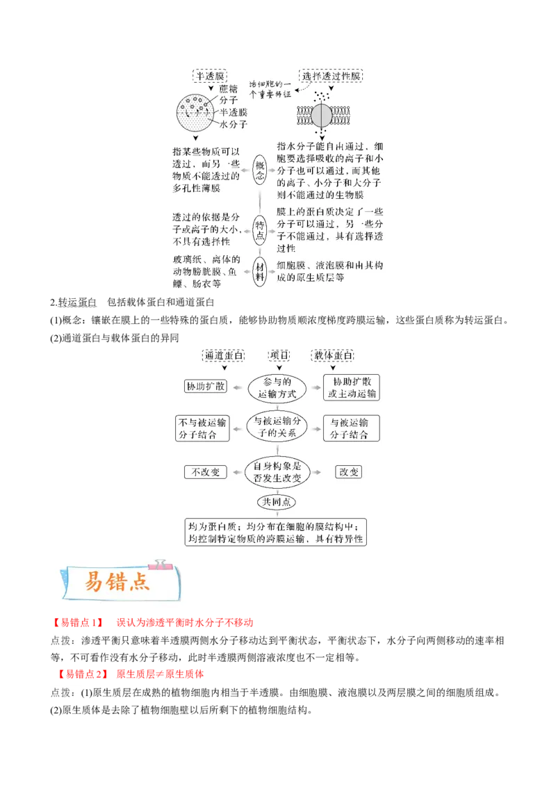 考向03细胞内物质输入和输出-备战2023年高考生物一轮复习考点微专题（全国通用）（解析版）(1)_通用版（老高考）复习资料_2023年复习资料_一轮复习