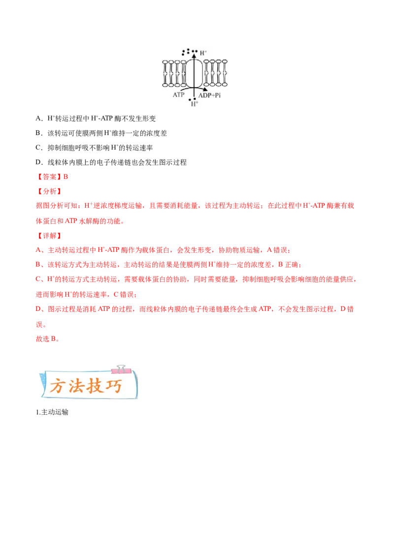 考向03细胞内物质输入和输出-备战2023年高考生物一轮复习考点微专题（全国通用）（解析版）(1)_通用版（老高考）复习资料_2023年复习资料_一轮复习