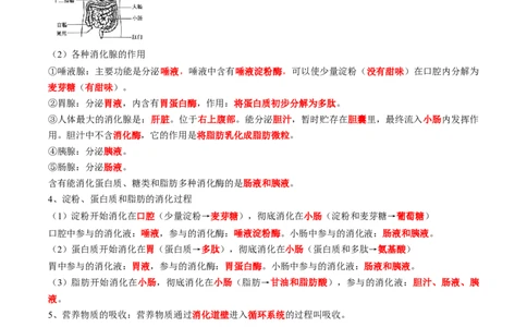 专题10人体的营养-2022年中考生物一轮复习抓重点考典型（人教版）（原卷版）_6生物中考复习_2023年中考复习资料_一轮复习_2022年中考生物一轮复习抓重点考典型（人教版）