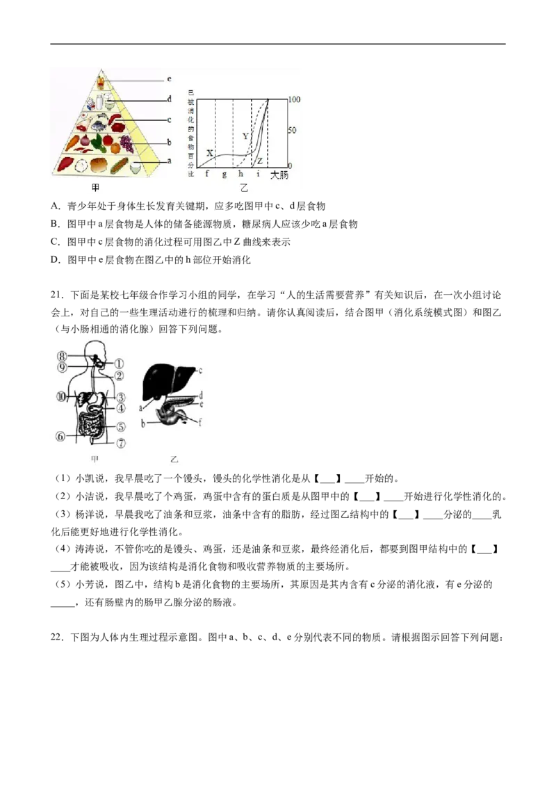 专题10人体的营养-2022年中考生物一轮复习抓重点考典型（人教版）（原卷版）_6生物中考复习_2023年中考复习资料_一轮复习_2022年中考生物一轮复习抓重点考典型（人教版）