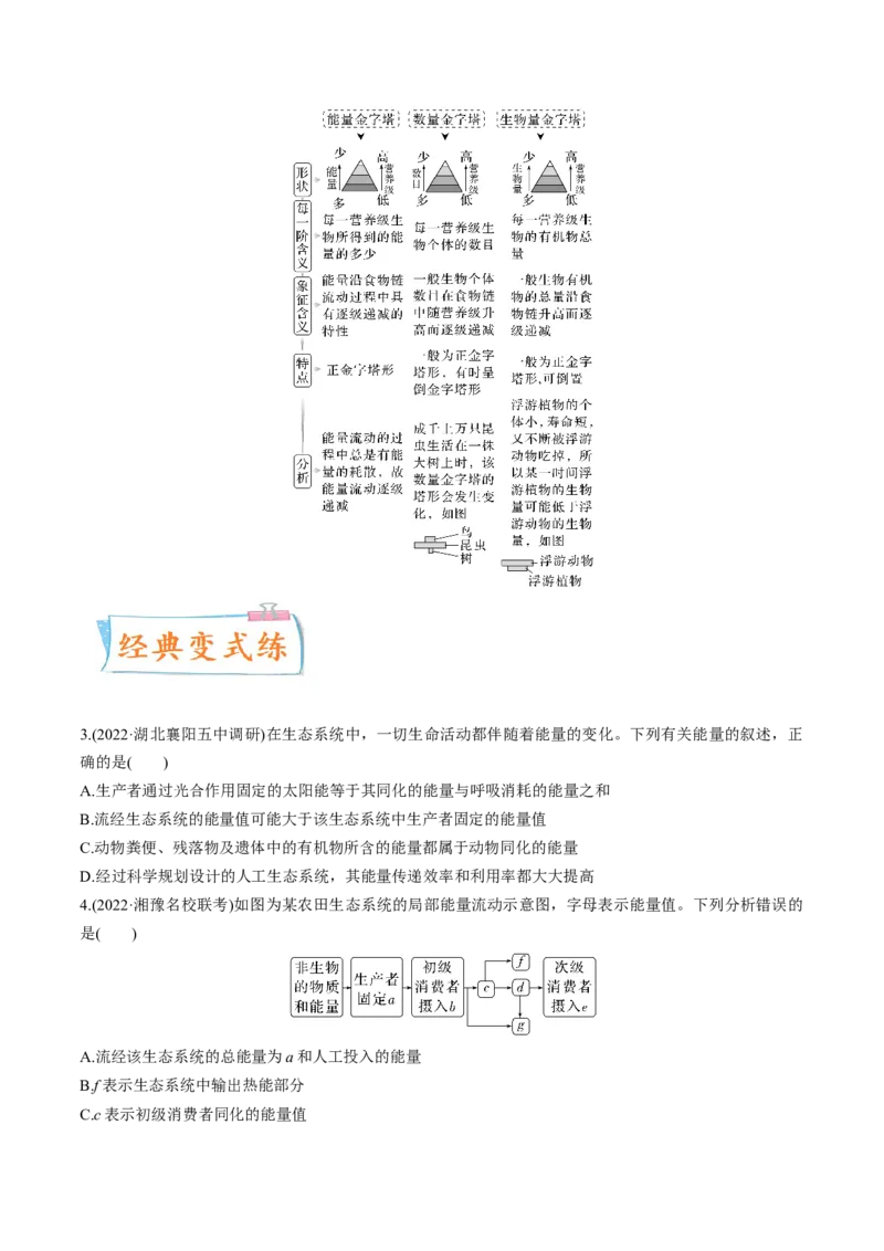考向23生态系统的结构与能量流动-备战2023年高考生物一轮复习考点微专题（全国通用）（原卷版）_通用版（老高考）复习资料_2023年复习资料_一轮复习