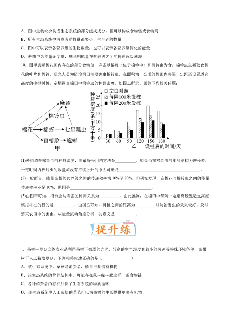 考向23生态系统的结构与能量流动-备战2023年高考生物一轮复习考点微专题（全国通用）（原卷版）_通用版（老高考）复习资料_2023年复习资料_一轮复习