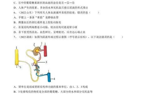 专题13人体内废物的排出（原卷版）_6生物中考复习_2023年中考复习资料_一轮复习_2023年中考生物一轮复习讲练测_专题13人体内废物的排出（专题精练）-2023年中考生物一轮复习讲练测