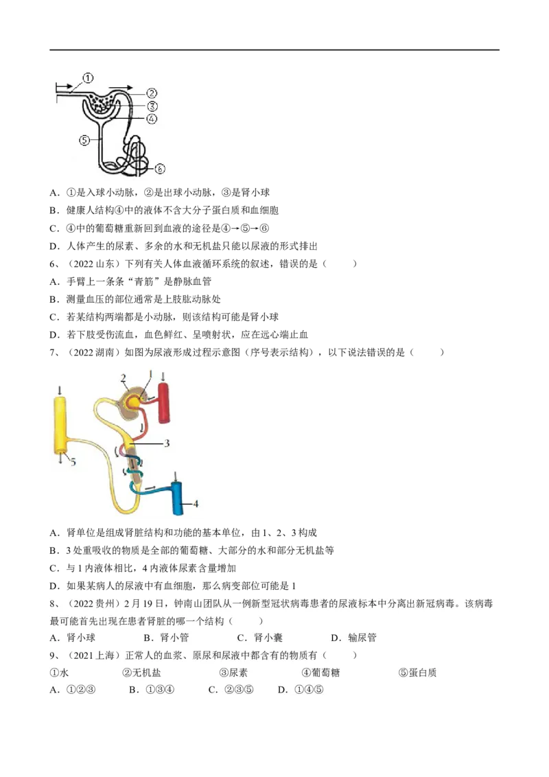 专题13人体内废物的排出（原卷版）_6生物中考复习_2023年中考复习资料_一轮复习_2023年中考生物一轮复习讲练测_专题13人体内废物的排出（专题精练）-2023年中考生物一轮复习讲练测