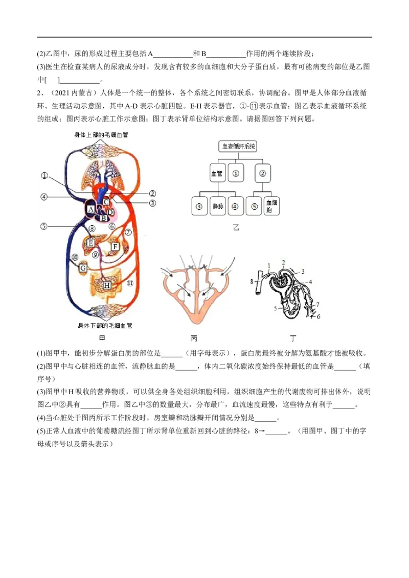 专题13人体内废物的排出（原卷版）_6生物中考复习_2023年中考复习资料_一轮复习_2023年中考生物一轮复习讲练测_专题13人体内废物的排出（专题精练）-2023年中考生物一轮复习讲练测