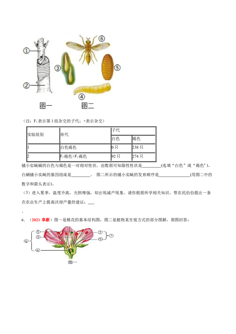 专题12&nbsp;其他生物的生殖和发育（原卷版）_6生物中考复习_2024年中考复习资料_专项复习资料_完三年（2021-2023）中考生物真题分项汇编（全国通用）