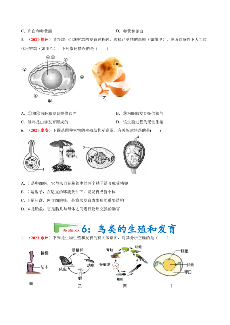 专题12&nbsp;其他生物的生殖和发育（原卷版）_6生物中考复习_2024年中考复习资料_专项复习资料_完三年（2021-2023）中考生物真题分项汇编（全国通用）