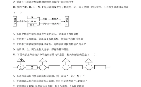 精品解析：湖北省部分高中联考2025-2026学年高一上学期11月期中生物试题（原卷版）_2025年12月高一试卷_251207湖北省部分高中联考2025-2026学年高一上学期11月期中