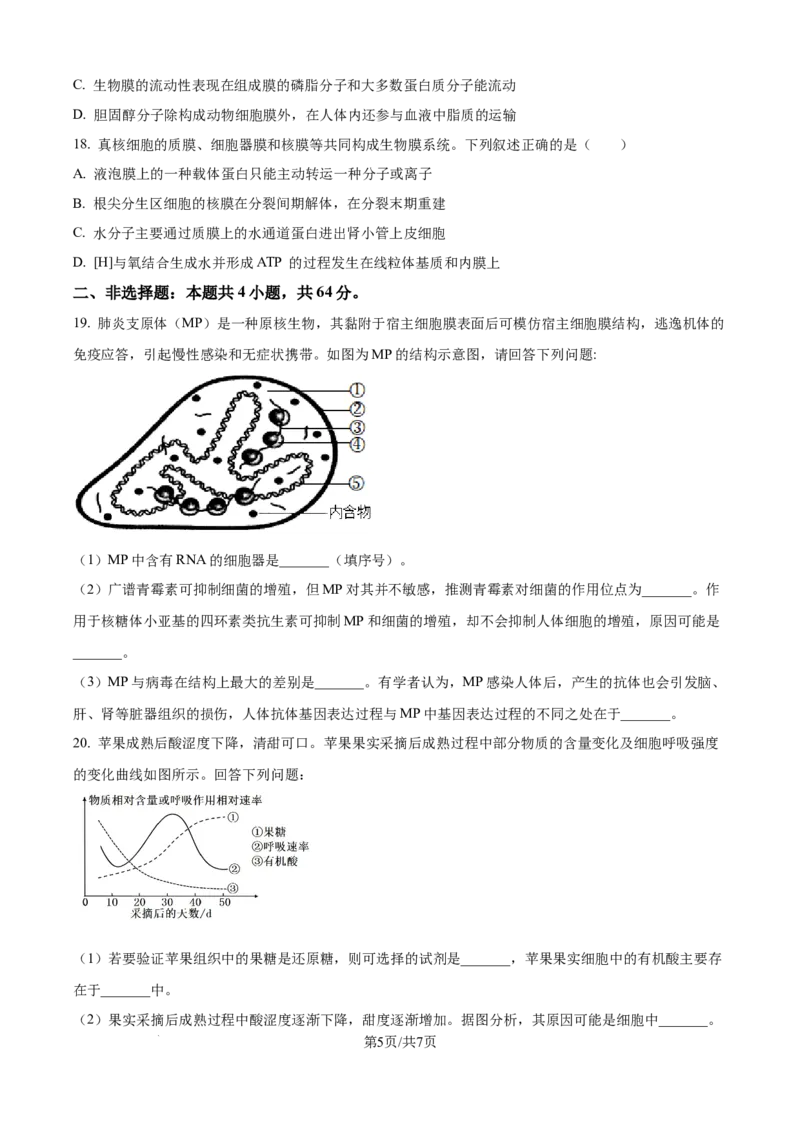 精品解析：湖北省部分高中联考2025-2026学年高一上学期11月期中生物试题（原卷版）_2025年12月高一试卷_251207湖北省部分高中联考2025-2026学年高一上学期11月期中