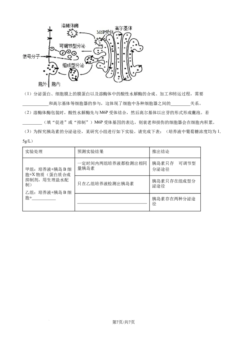 精品解析：湖北省部分高中联考2025-2026学年高一上学期11月期中生物试题（原卷版）_2025年12月高一试卷_251207湖北省部分高中联考2025-2026学年高一上学期11月期中