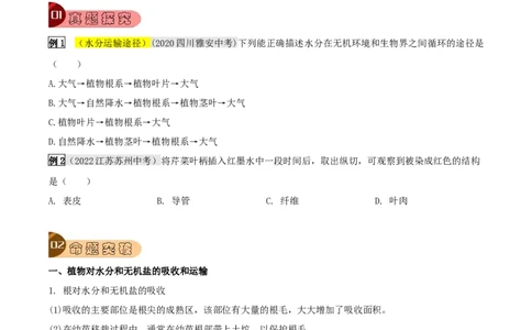 专题09绿色植物与生物圈的水循环（原卷版）_6生物中考复习_2023年中考复习资料_专项复习_2023年中考生物总复习真题探究与变式训练（全国通用）