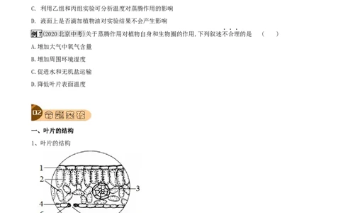 专题09绿色植物与生物圈的水循环（原卷版）_6生物中考复习_2023年中考复习资料_专项复习_2023年中考生物总复习真题探究与变式训练（全国通用）