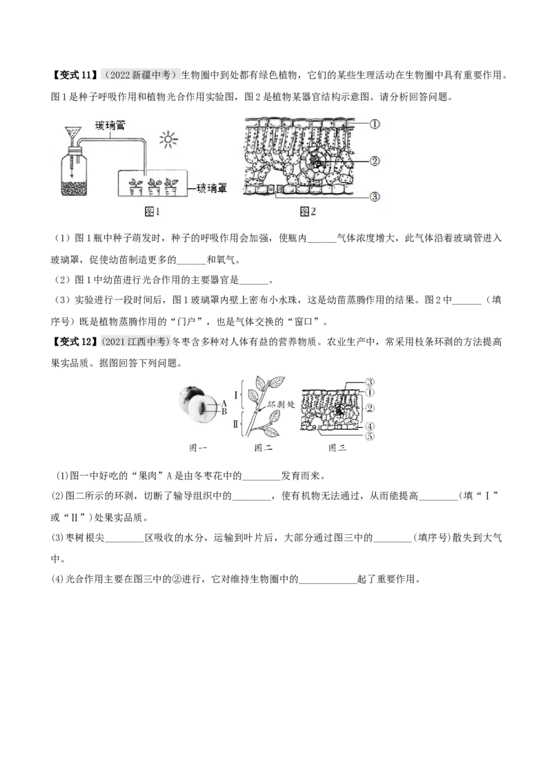 专题09绿色植物与生物圈的水循环（原卷版）_6生物中考复习_2023年中考复习资料_专项复习_2023年中考生物总复习真题探究与变式训练（全国通用）