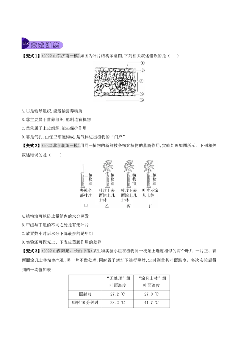 专题09绿色植物与生物圈的水循环（原卷版）_6生物中考复习_2023年中考复习资料_专项复习_2023年中考生物总复习真题探究与变式训练（全国通用）