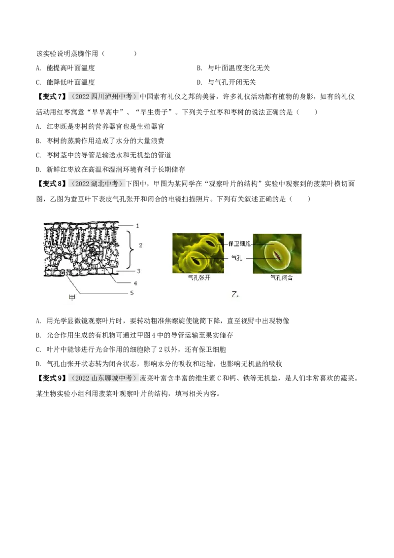 专题09绿色植物与生物圈的水循环（原卷版）_6生物中考复习_2023年中考复习资料_专项复习_2023年中考生物总复习真题探究与变式训练（全国通用）