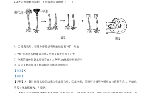 精品解析：辽宁省抚顺市六校协作体2025-2026学年高一上学期期末联考生物试卷（解析版）_2026年01月高一试卷_260117辽宁省抚顺市六校协作体2025-2026学年高一上学期期末联考（全）
