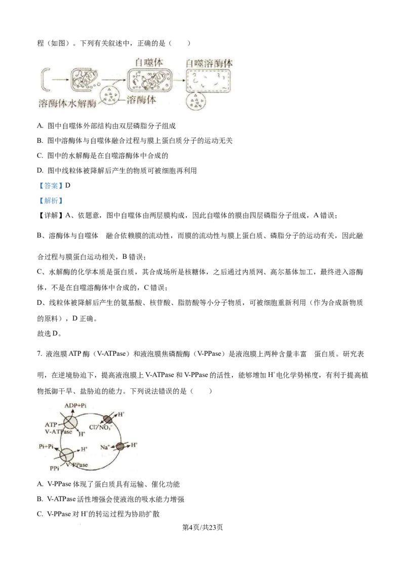 精品解析：辽宁省抚顺市六校协作体2025-2026学年高一上学期期末联考生物试卷（解析版）_2026年01月高一试卷_260117辽宁省抚顺市六校协作体2025-2026学年高一上学期期末联考（全）