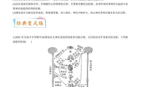 考向17神经调节-备战2023年高考生物一轮复习考点微专题（全国通用）（原卷版）(1)_通用版（老高考）复习资料_2023年复习资料_一轮复习