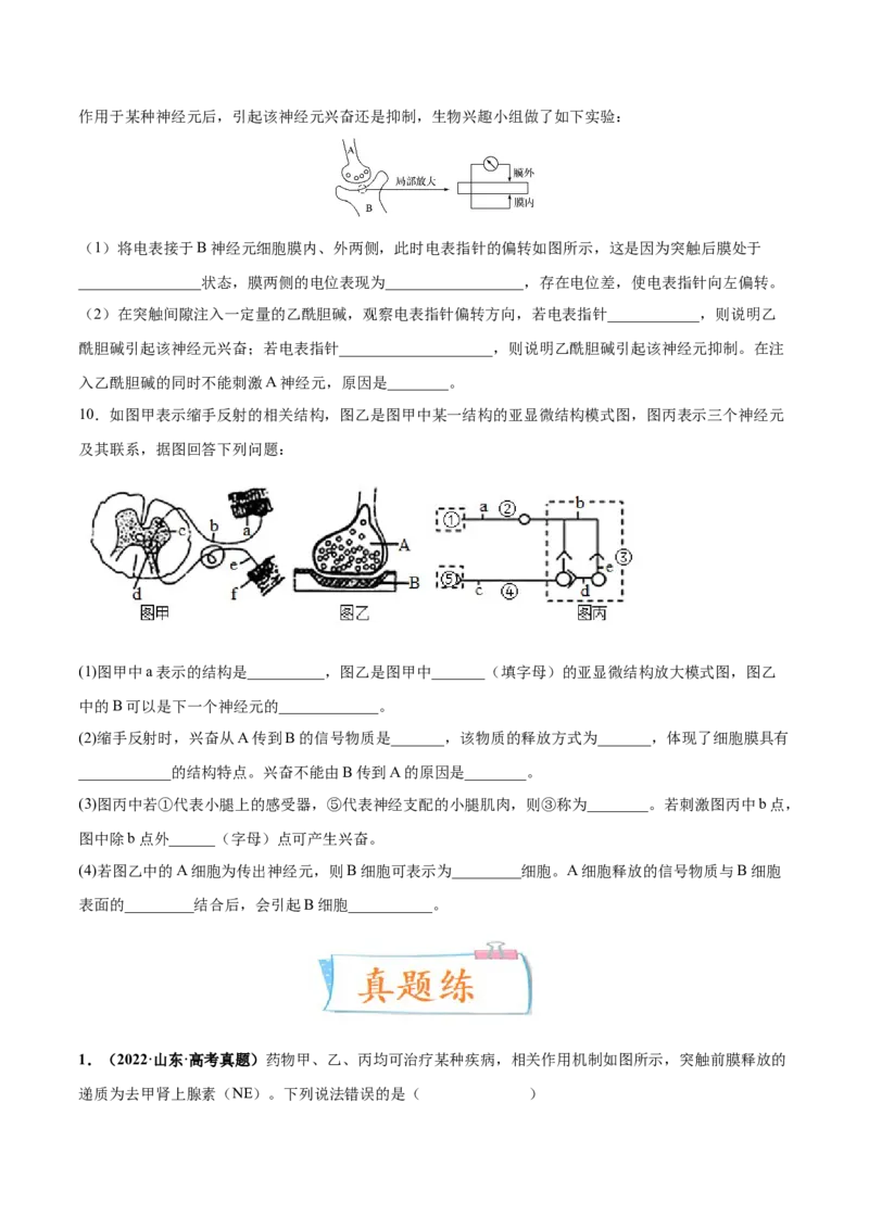 考向17神经调节-备战2023年高考生物一轮复习考点微专题（全国通用）（原卷版）(1)_通用版（老高考）复习资料_2023年复习资料_一轮复习