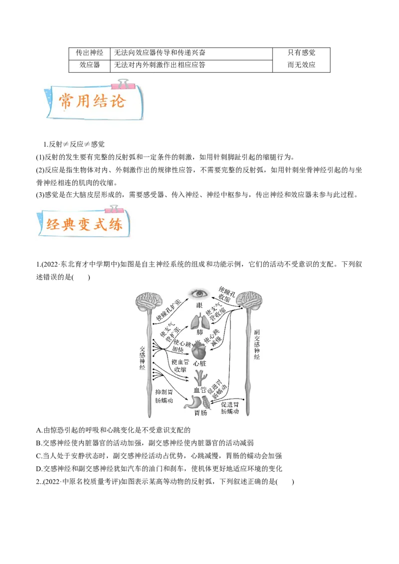 考向17神经调节-备战2023年高考生物一轮复习考点微专题（全国通用）（原卷版）(1)_通用版（老高考）复习资料_2023年复习资料_一轮复习