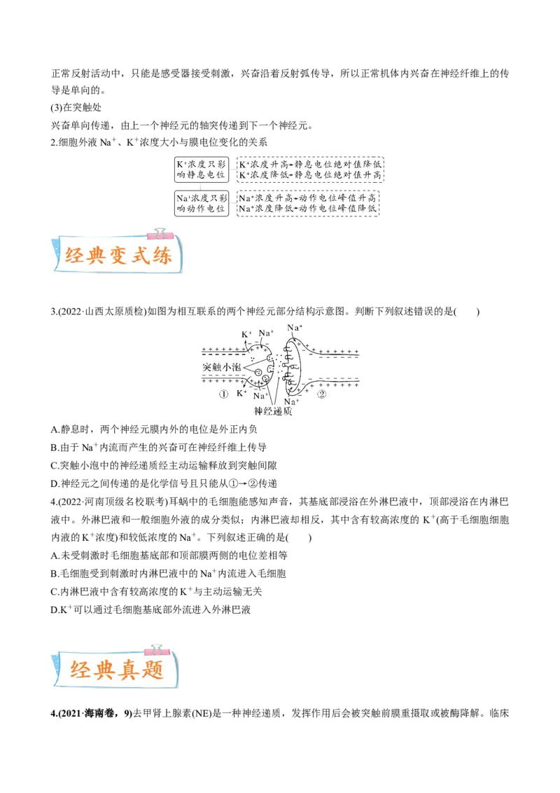 考向17神经调节-备战2023年高考生物一轮复习考点微专题（全国通用）（原卷版）(1)_通用版（老高考）复习资料_2023年复习资料_一轮复习