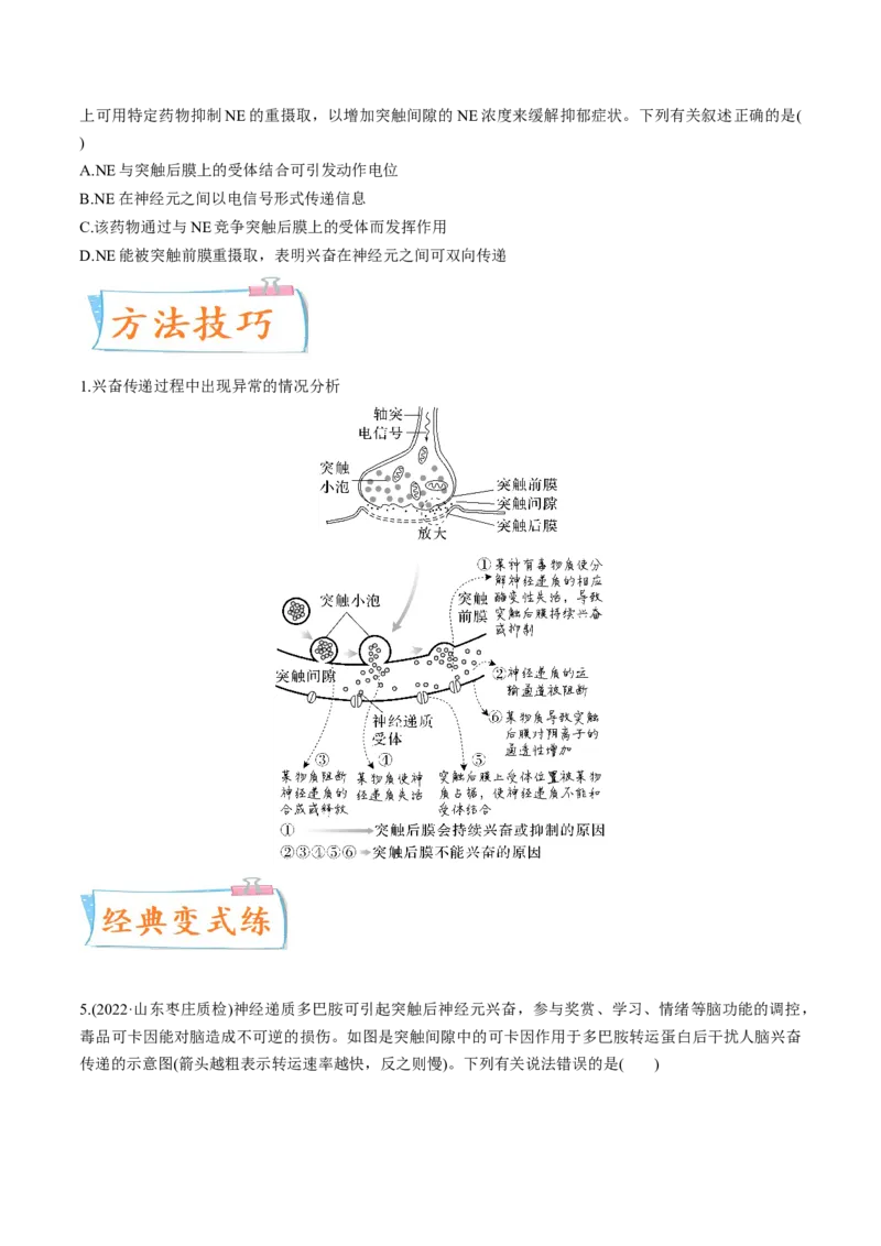 考向17神经调节-备战2023年高考生物一轮复习考点微专题（全国通用）（原卷版）(1)_通用版（老高考）复习资料_2023年复习资料_一轮复习