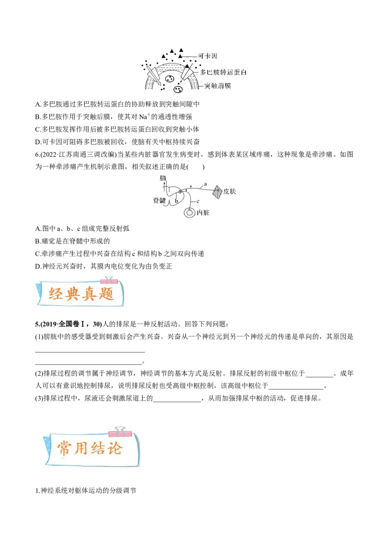 考向17神经调节-备战2023年高考生物一轮复习考点微专题（全国通用）（原卷版）(1)_通用版（老高考）复习资料_2023年复习资料_一轮复习