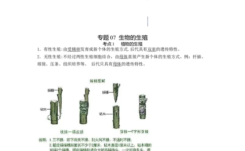 专题07生物的生殖（知识帮）-备战2023年中考生物一轮复习考点帮（全国通用）_6生物中考复习_2023年中考复习资料_一轮复习_备战2023年中考生物一轮复习考点帮（全国通用）288506454