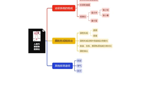 专题10人体代谢废物的排出-备战2023年中考生物核心考点梳理与必背_6生物中考复习_2023年中考复习资料_专项复习_备战2023年中考生物核心考点梳理与必背