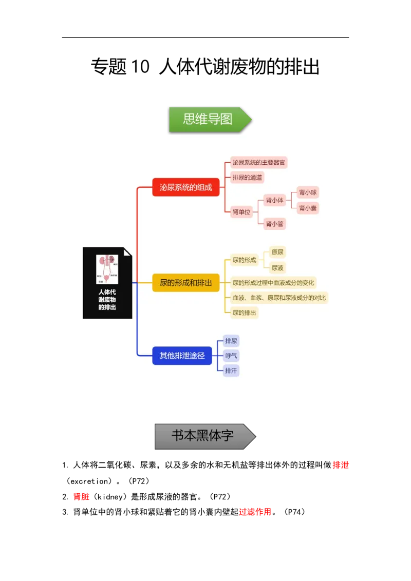 专题10人体代谢废物的排出-备战2023年中考生物核心考点梳理与必背_6生物中考复习_2023年中考复习资料_专项复习_备战2023年中考生物核心考点梳理与必背