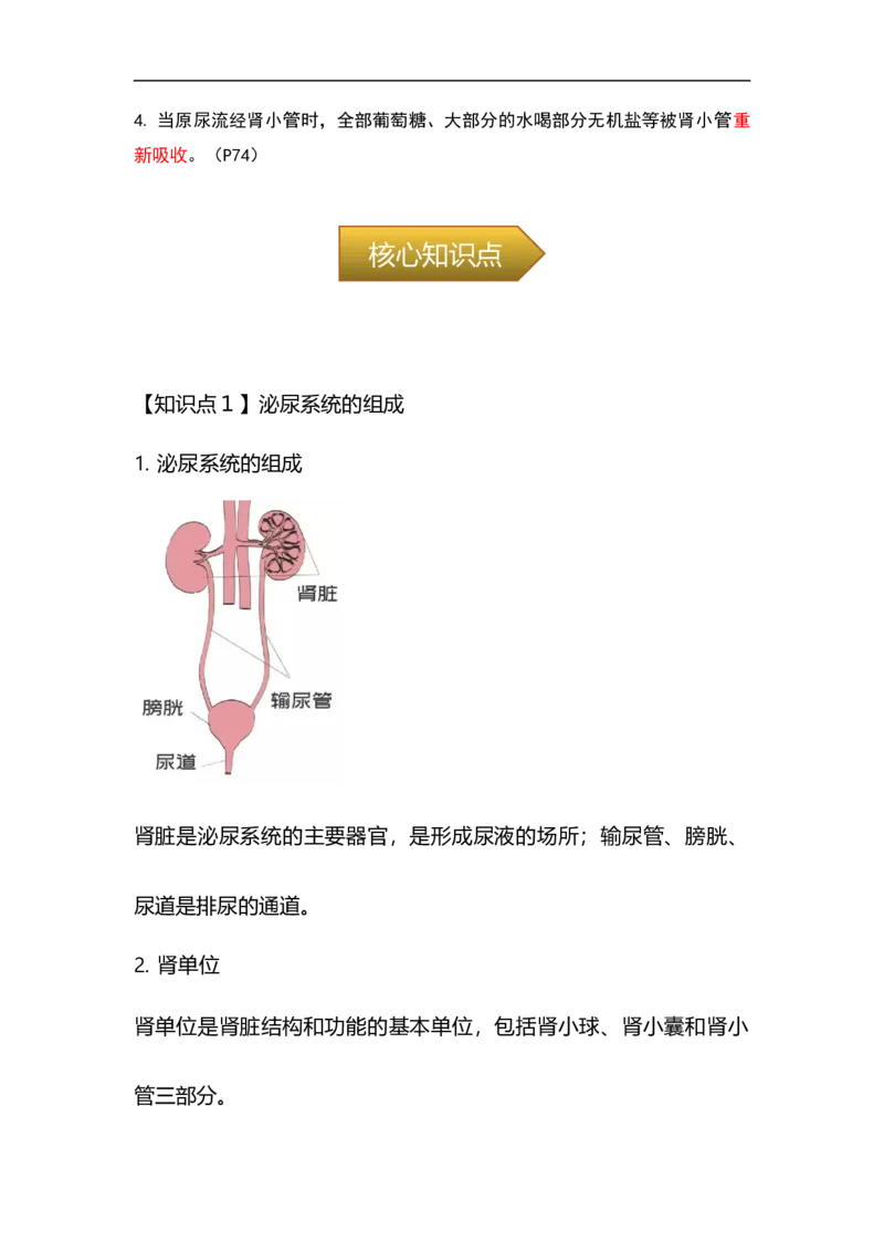 专题10人体代谢废物的排出-备战2023年中考生物核心考点梳理与必背_6生物中考复习_2023年中考复习资料_专项复习_备战2023年中考生物核心考点梳理与必背