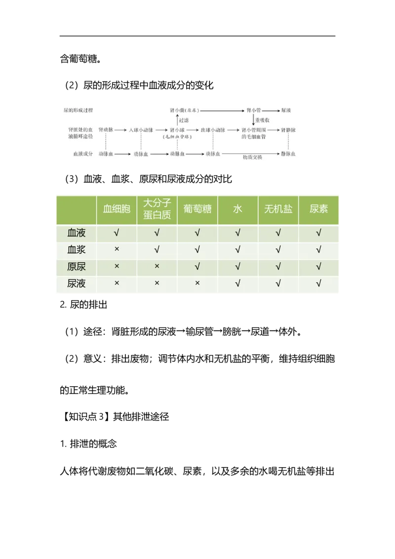 专题10人体代谢废物的排出-备战2023年中考生物核心考点梳理与必背_6生物中考复习_2023年中考复习资料_专项复习_备战2023年中考生物核心考点梳理与必背