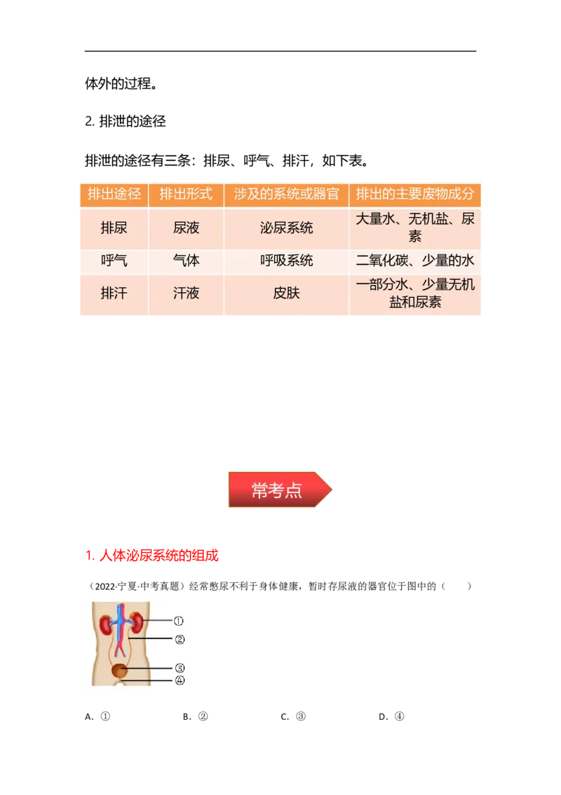 专题10人体代谢废物的排出-备战2023年中考生物核心考点梳理与必背_6生物中考复习_2023年中考复习资料_专项复习_备战2023年中考生物核心考点梳理与必背