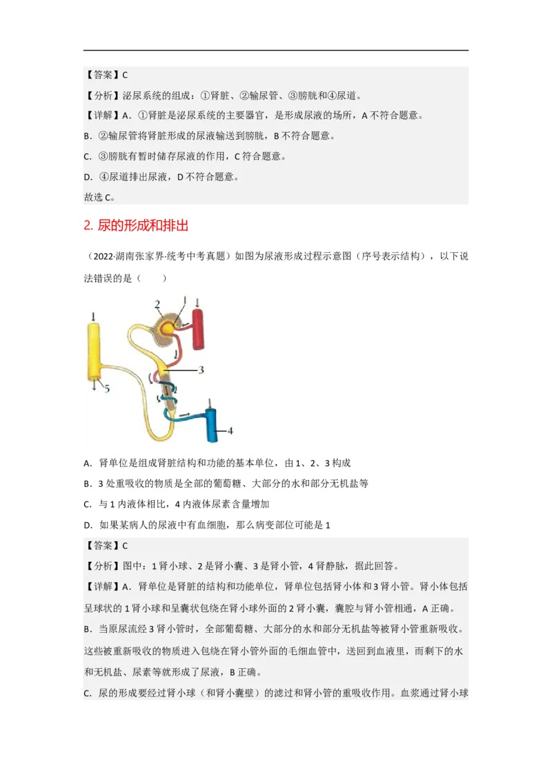 专题10人体代谢废物的排出-备战2023年中考生物核心考点梳理与必背_6生物中考复习_2023年中考复习资料_专项复习_备战2023年中考生物核心考点梳理与必背