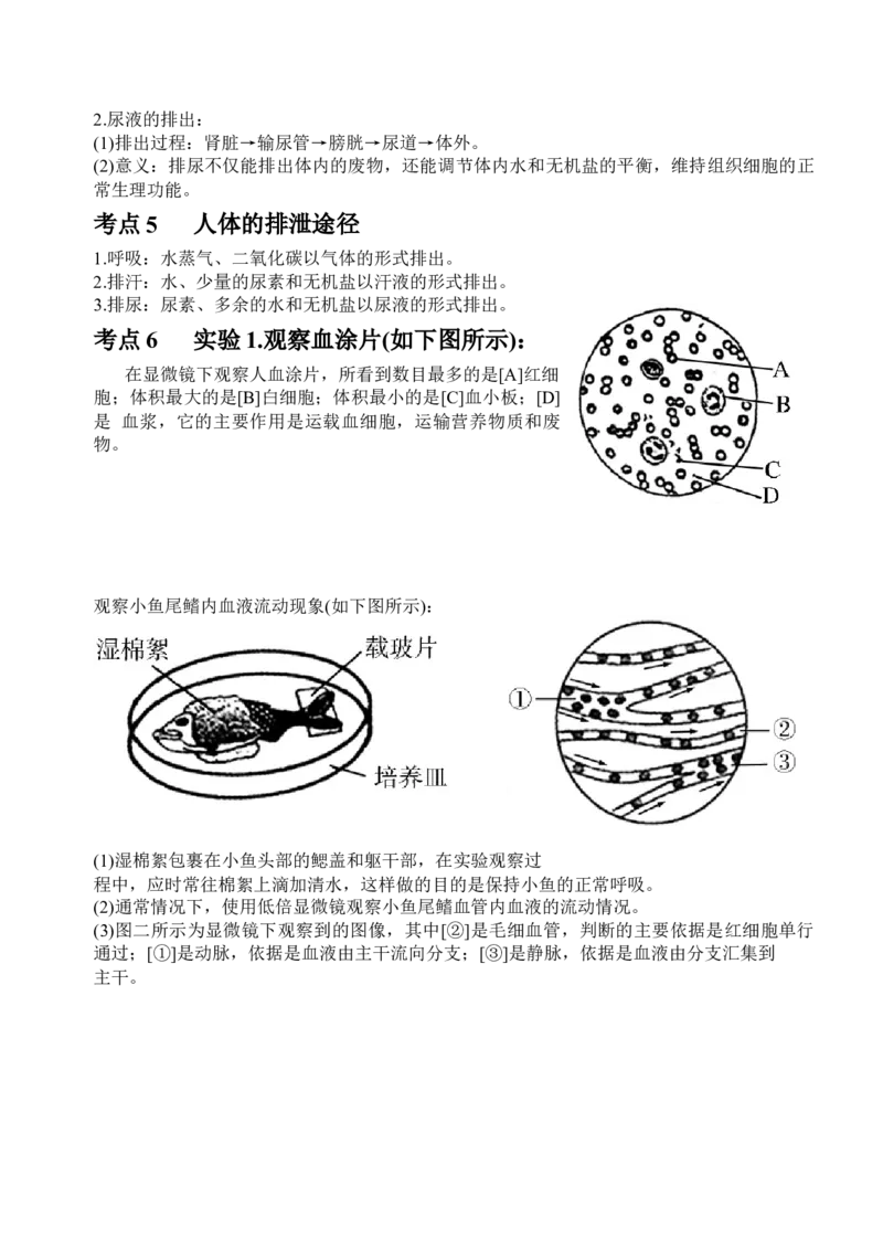 中考生物知识点总结_6生物中考复习_2023年中考复习资料_专项复习