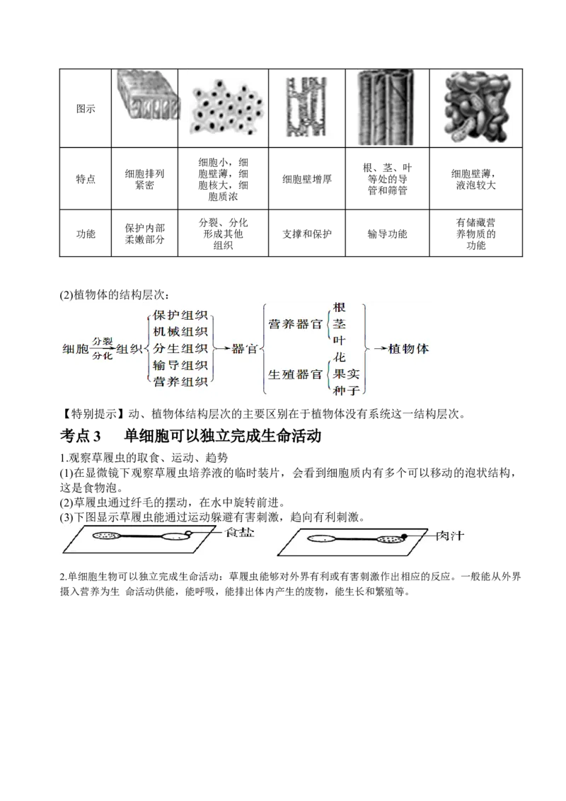 中考生物知识点总结_6生物中考复习_2023年中考复习资料_专项复习