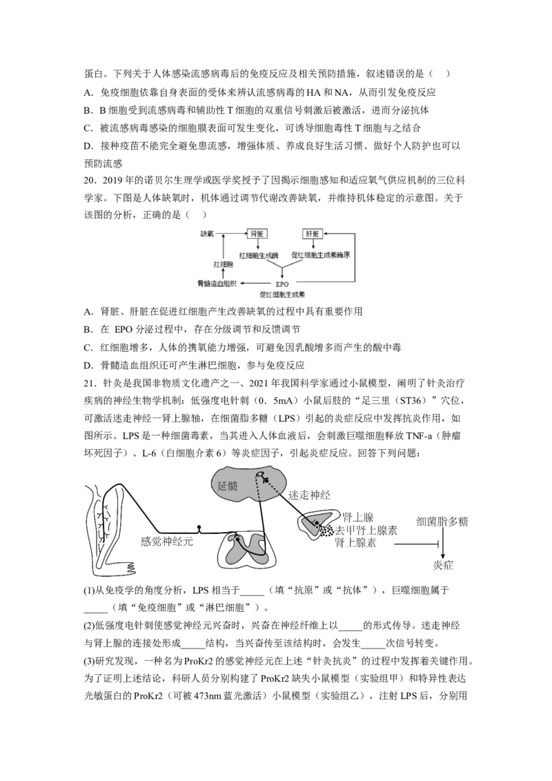考点27免疫调节（原卷版）_通用版（老高考）复习资料_2023年复习资料_一轮复习_2023年高考生物一轮复习讲练测（全国通用）