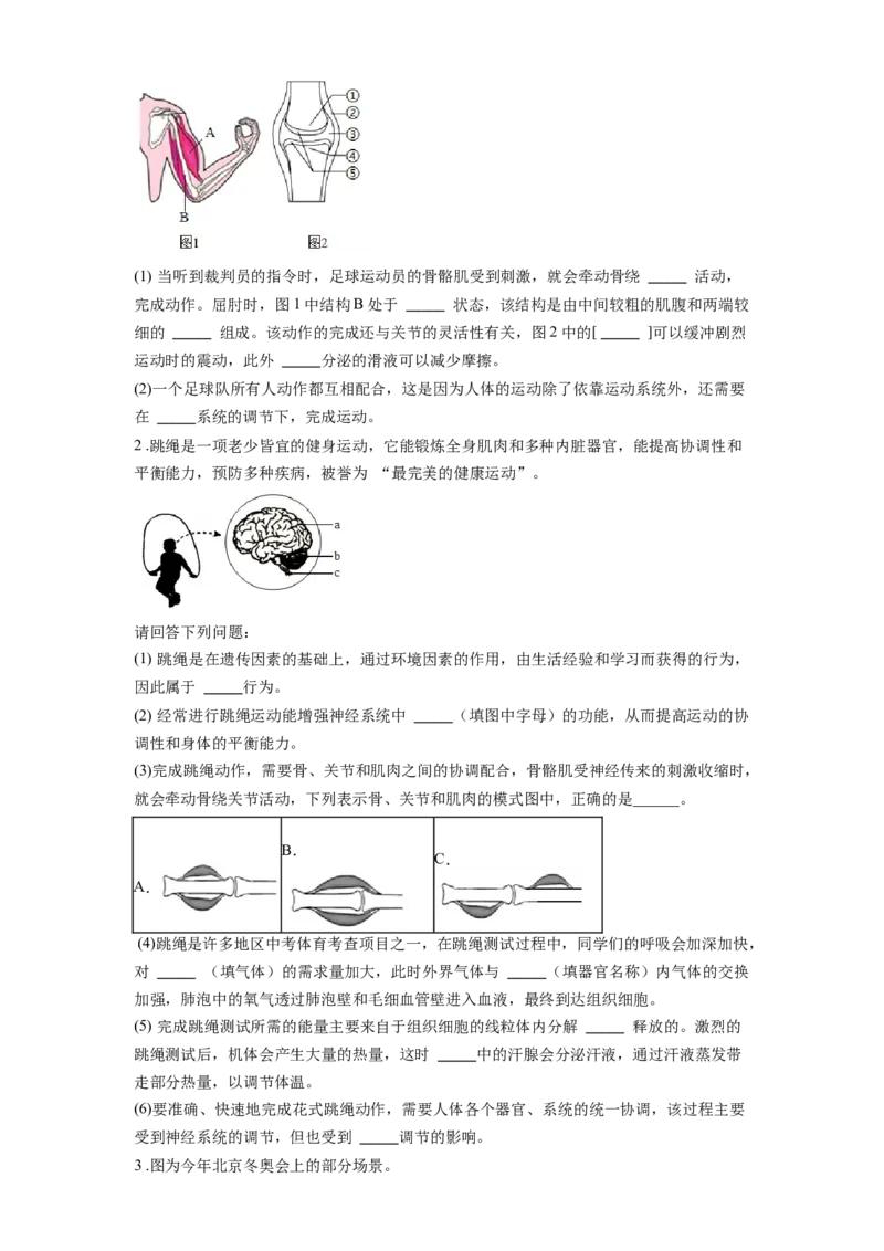 专题21动物的运动和行为（原卷版）_6生物中考复习_2024年中考复习资料_一轮复习资料_完精准复习课件精讲ppt+习题精练备战2024年中考生物一轮复习全考点通关_配套练习