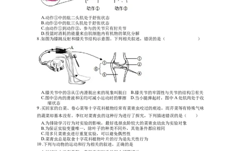 专题21动物的运动和行为（原卷版）_6生物中考复习_2024年中考复习资料_一轮复习资料_完精准复习课件精讲ppt+习题精练备战2024年中考生物一轮复习全考点通关_配套练习