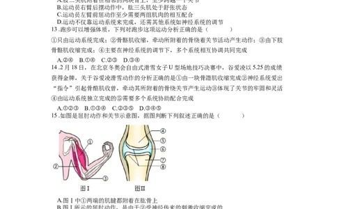 专题21动物的运动和行为（原卷版）_6生物中考复习_2024年中考复习资料_一轮复习资料_完精准复习课件精讲ppt+习题精练备战2024年中考生物一轮复习全考点通关_配套练习