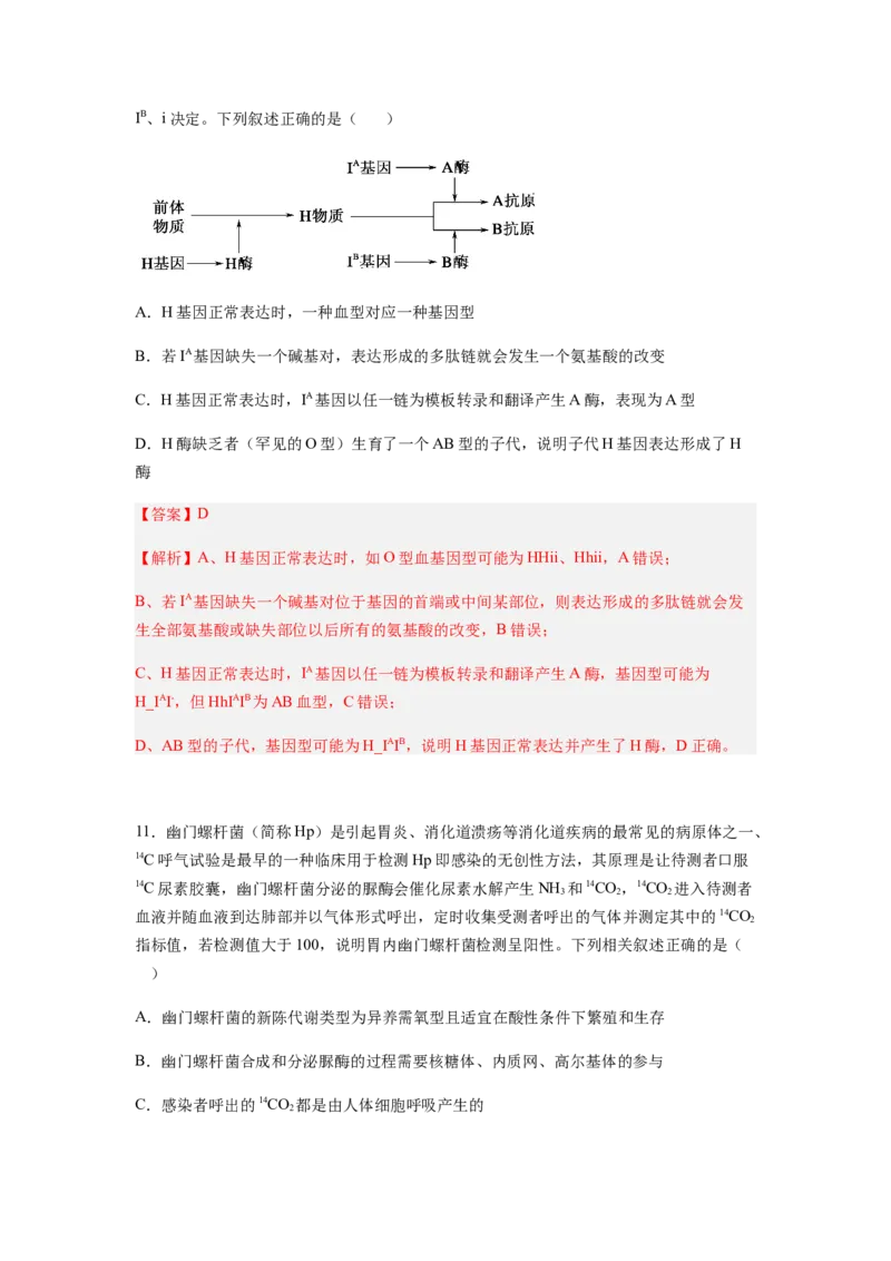 考点21基因突变和基因重组（解析版）_通用版（老高考）复习资料_2023年复习资料_一轮复习_2023年高考生物一轮复习讲练测（全国通用）