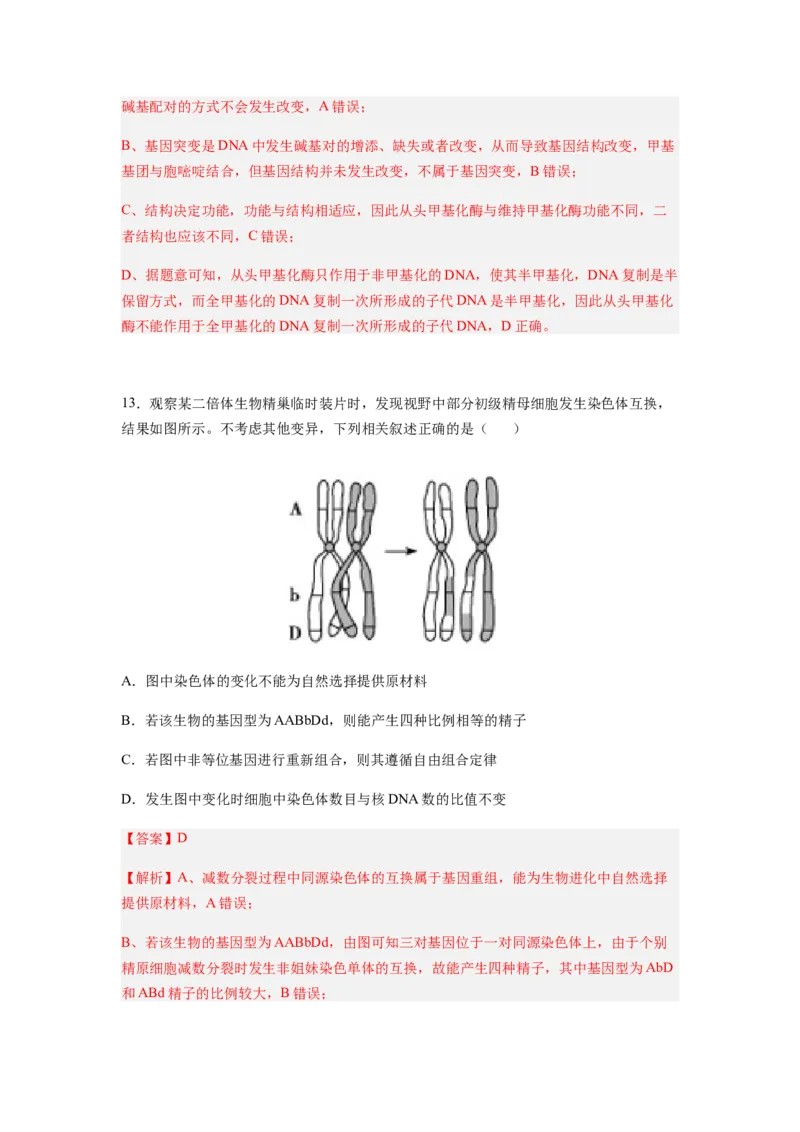 考点21基因突变和基因重组（解析版）_通用版（老高考）复习资料_2023年复习资料_一轮复习_2023年高考生物一轮复习讲练测（全国通用）