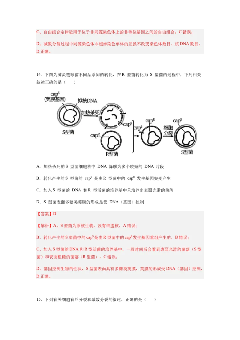 考点21基因突变和基因重组（解析版）_通用版（老高考）复习资料_2023年复习资料_一轮复习_2023年高考生物一轮复习讲练测（全国通用）