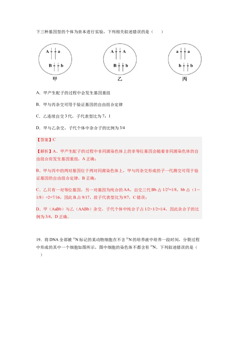 考点21基因突变和基因重组（解析版）_通用版（老高考）复习资料_2023年复习资料_一轮复习_2023年高考生物一轮复习讲练测（全国通用）