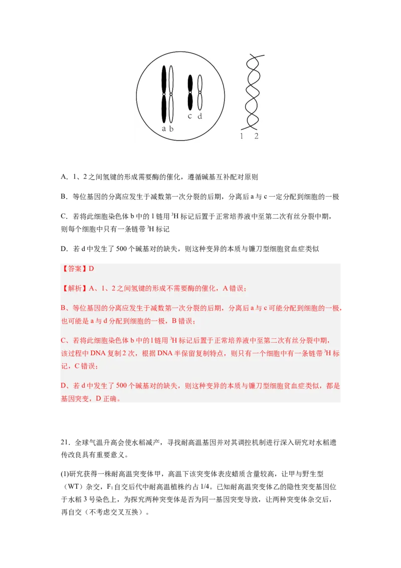 考点21基因突变和基因重组（解析版）_通用版（老高考）复习资料_2023年复习资料_一轮复习_2023年高考生物一轮复习讲练测（全国通用）