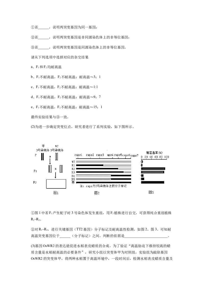 考点21基因突变和基因重组（解析版）_通用版（老高考）复习资料_2023年复习资料_一轮复习_2023年高考生物一轮复习讲练测（全国通用）