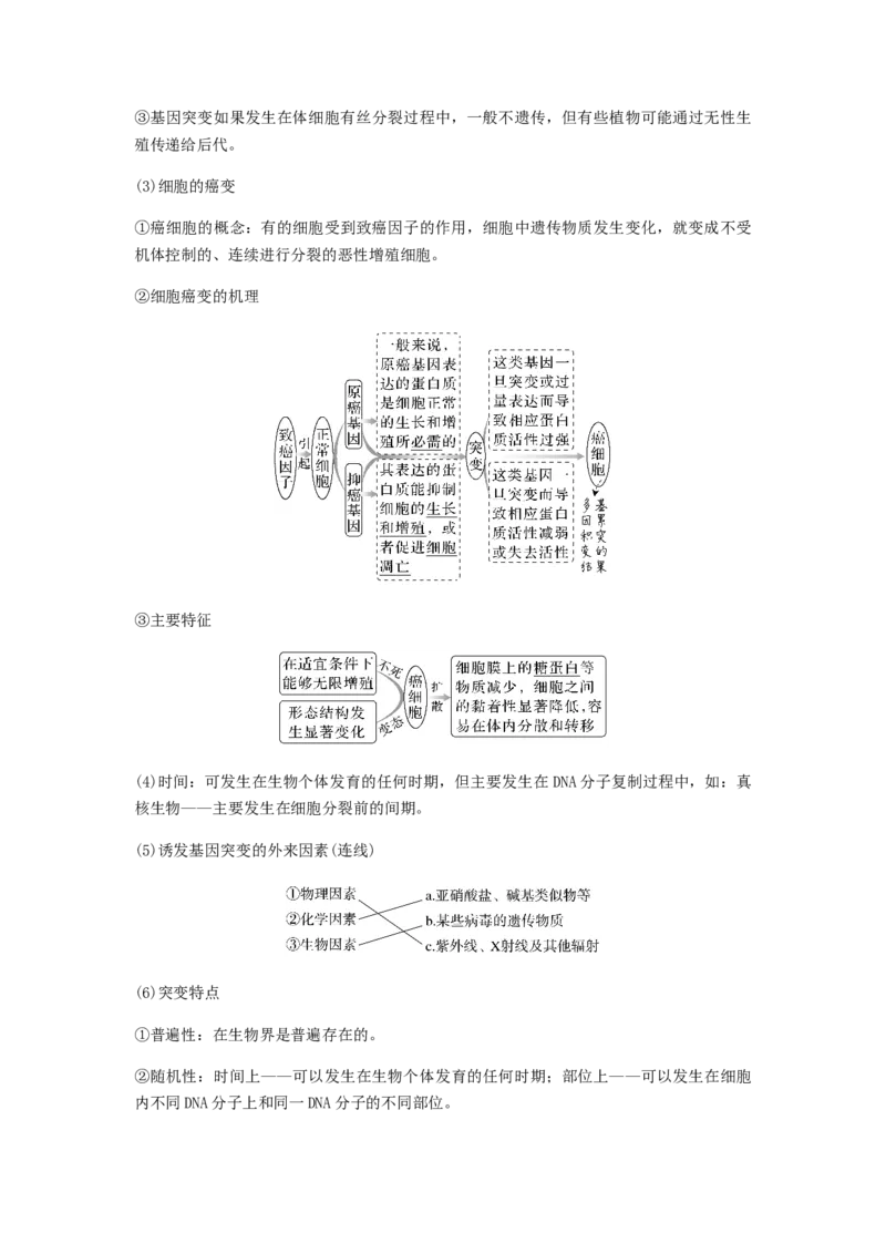 考点21基因突变和基因重组（解析版）_通用版（老高考）复习资料_2023年复习资料_一轮复习_2023年高考生物一轮复习讲练测（全国通用）