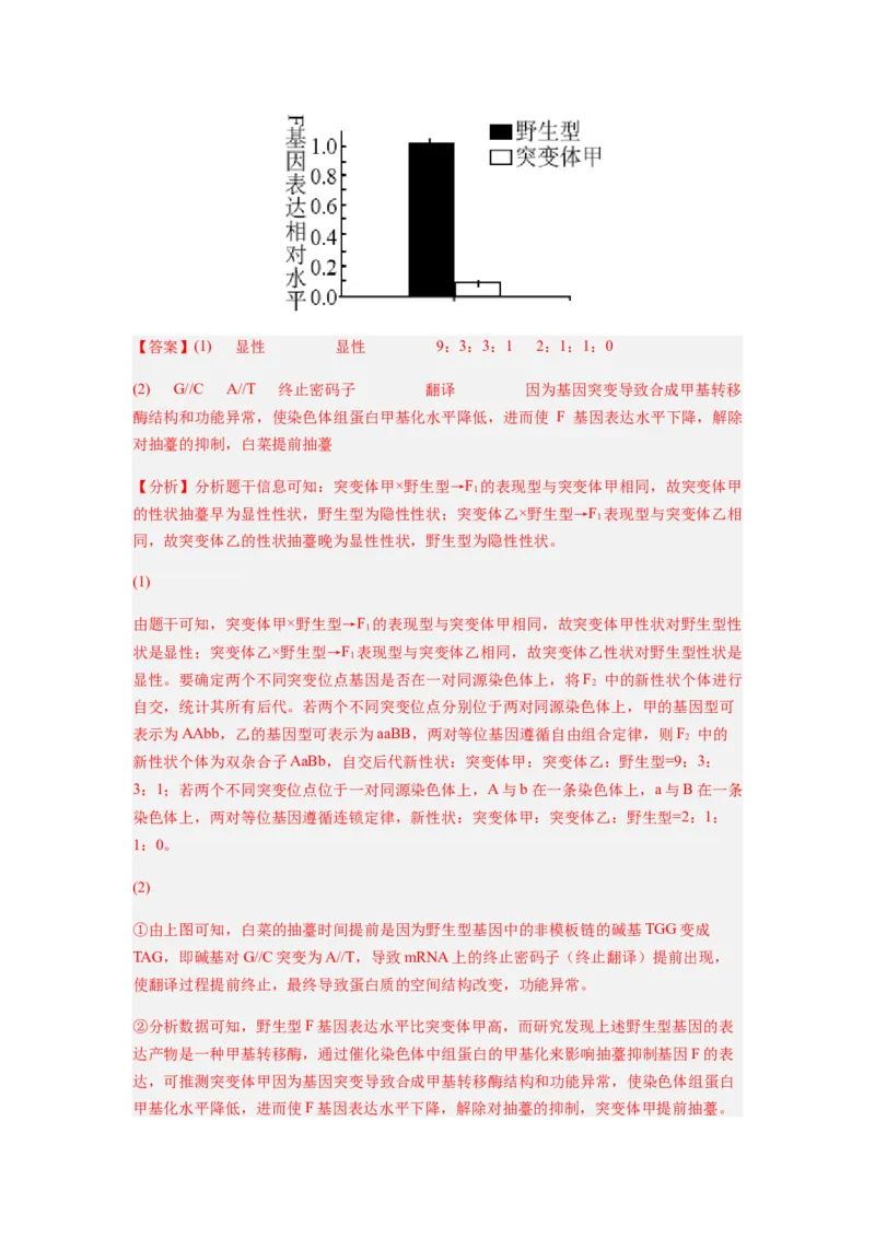 考点21基因突变和基因重组（解析版）_通用版（老高考）复习资料_2023年复习资料_一轮复习_2023年高考生物一轮复习讲练测（全国通用）